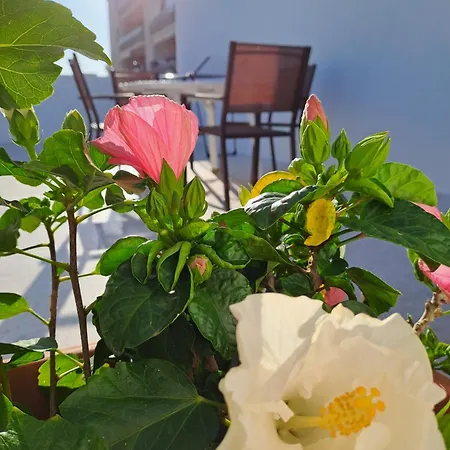 度假居 San Michele *